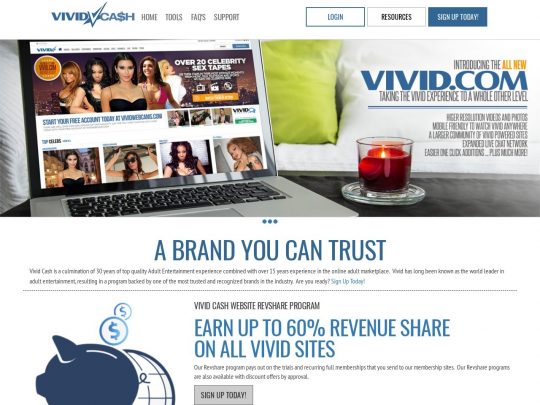 Vivid Cash